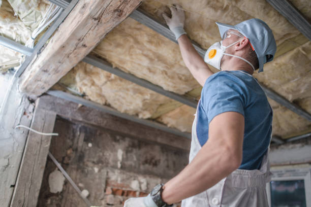 Best Commercial Insulation in Youngstown, NY