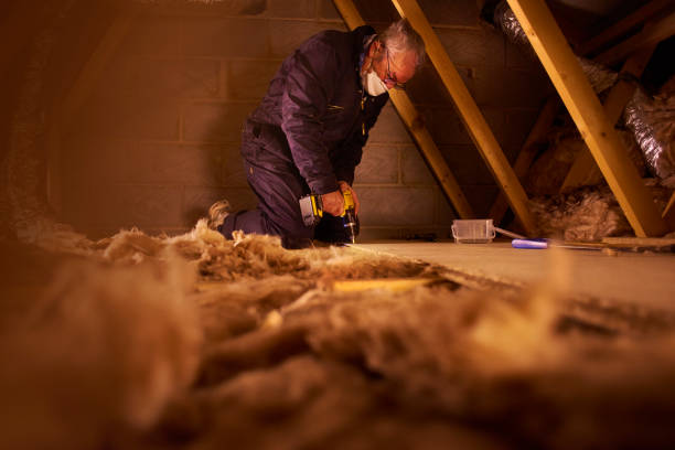 Best Cellulose Insulation in Youngstown, NY